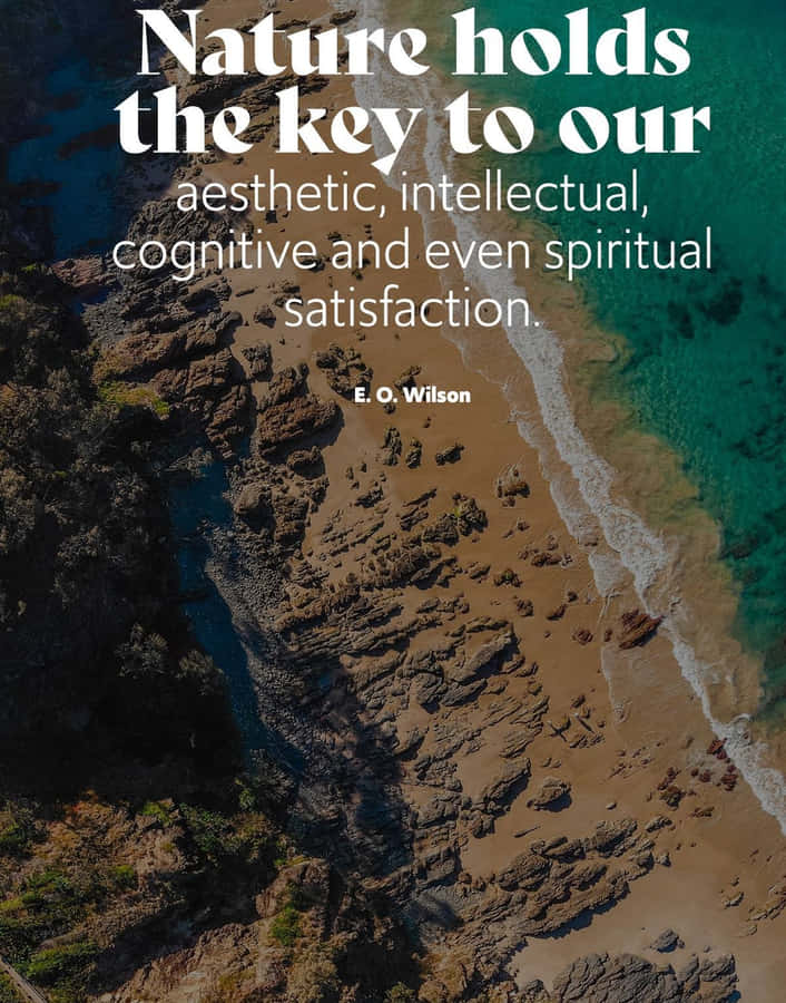 Nature_ Key_to_ Satisfaction_ Quote Wallpaper