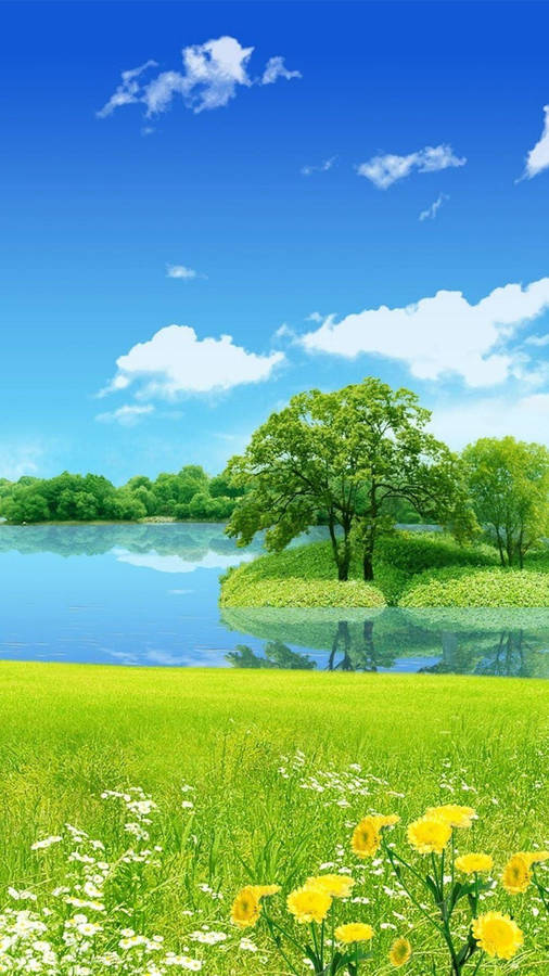 Nature Phone Pond Island Wallpaper
