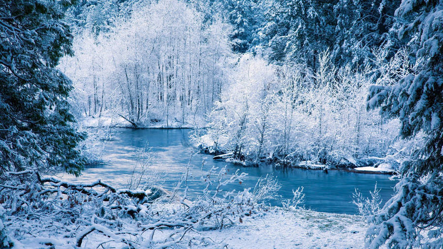 Nature's Beauty Is On Full Display During A Snowy Winter Day Wallpaper