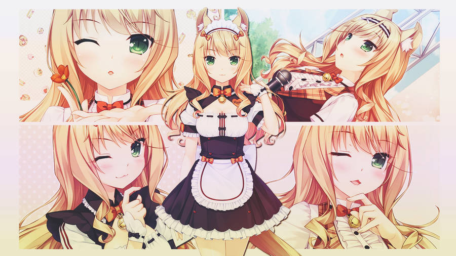 Nekopara Maple Showcase Wallpaper