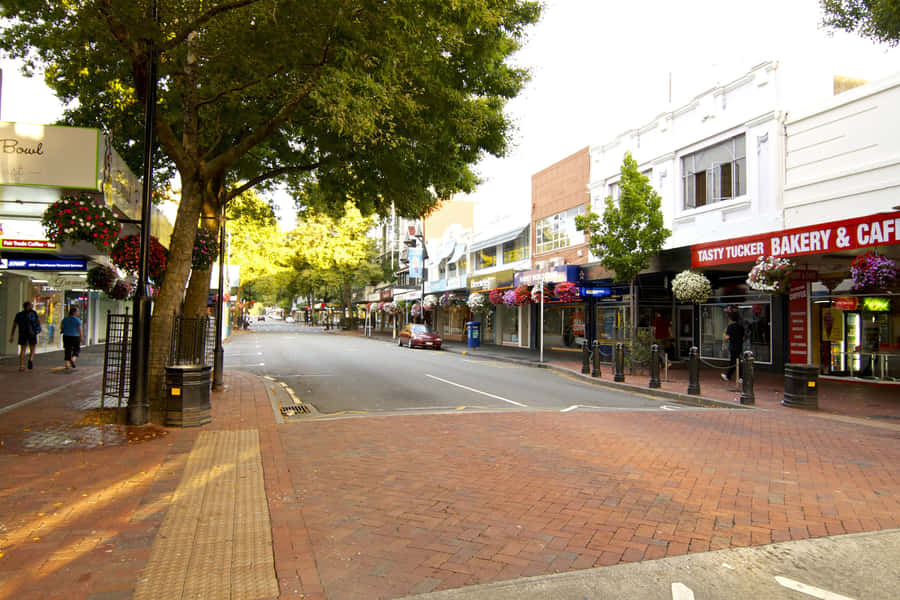 Nelson City Center Street View Wallpaper