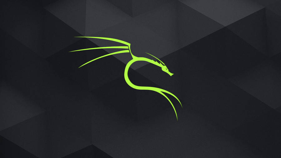 Neon Green Kali Linux Hd Wallpaper