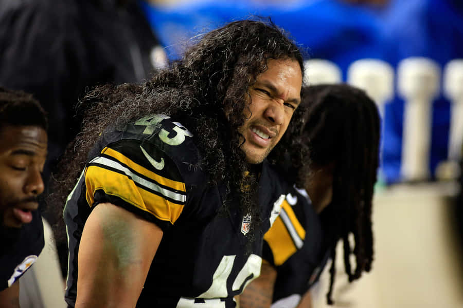 Nfl Safety Troy Polamalu Wallpaper