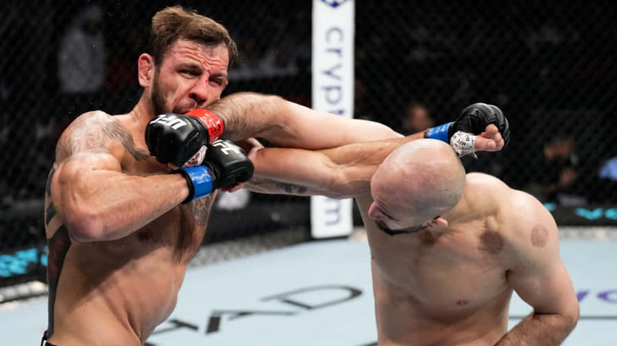 Nikita Krylov Punched In The Mouth Wallpaper