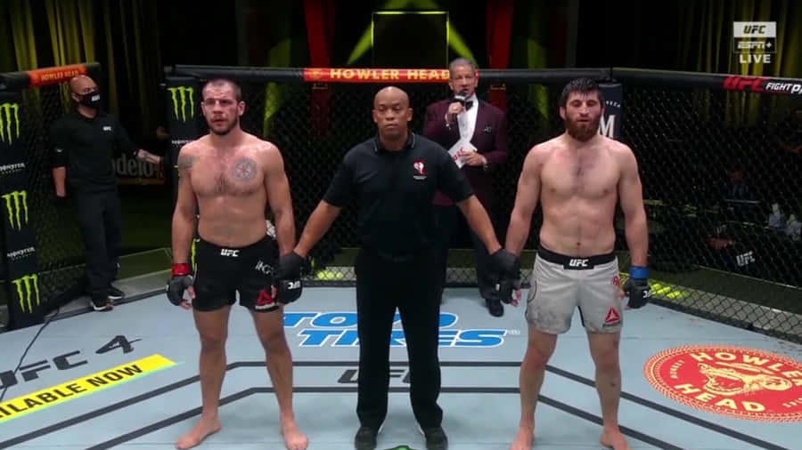 Nikita Krylov Waiting For Match Verdict In The Octagon Wallpaper