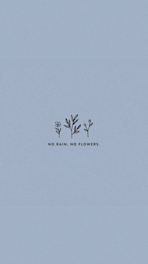 No Rain No Flowers Cute Aesthetic Wallpaper