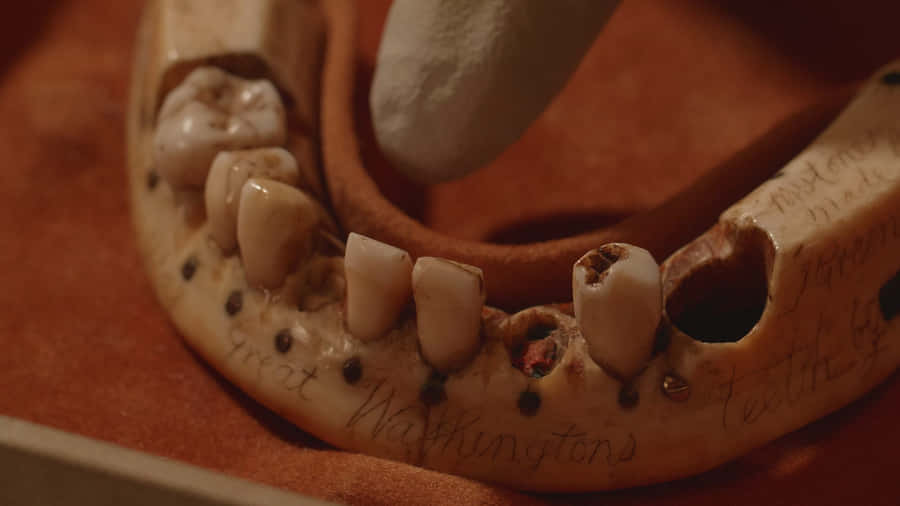 Object Of Intrigued Story Wallpaper