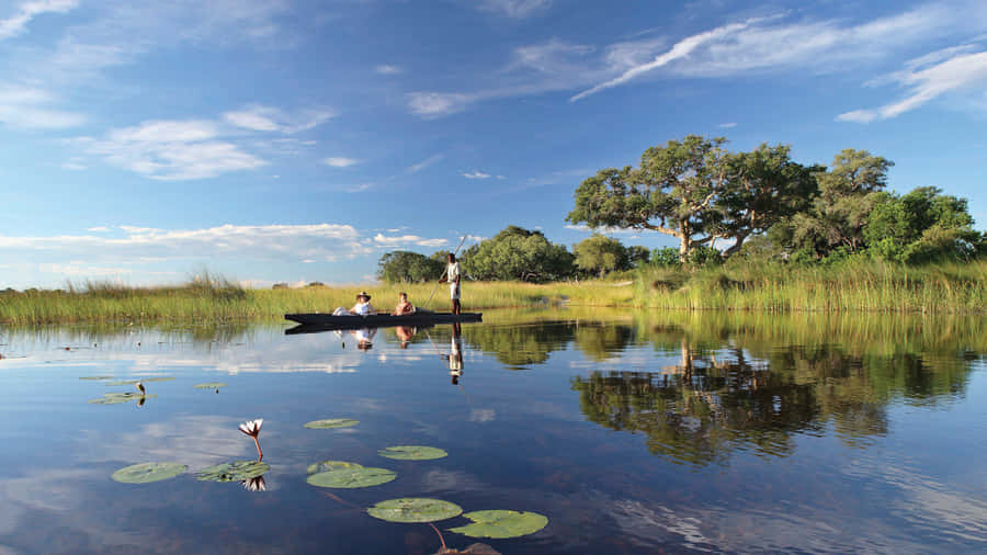 Okavango Delta Tourist Canoe Wallpaper