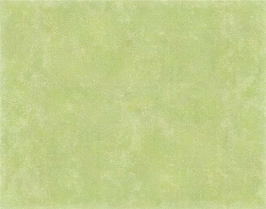 Olive Green Serenity Wallpaper