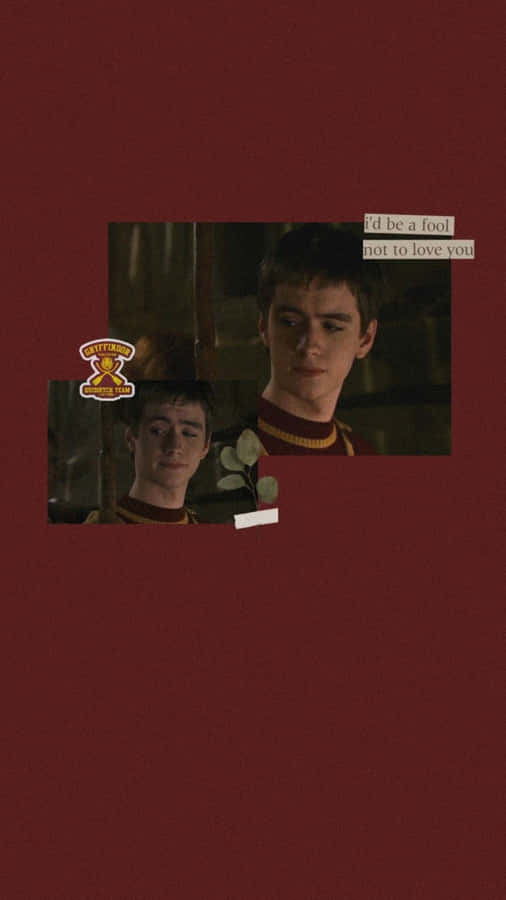 Oliver Wood Quidditch Captain Wallpaper