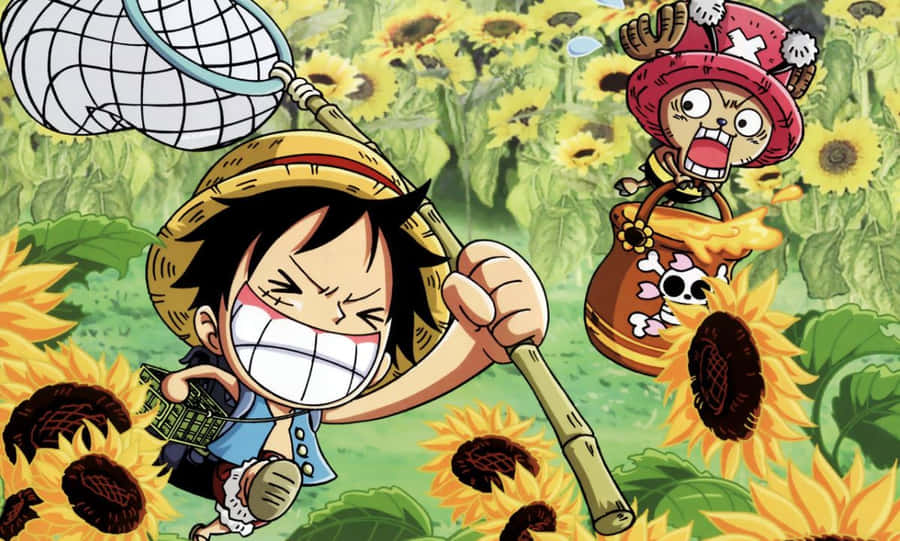 One Piece Characters Assemble Wallpaper