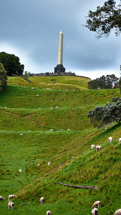 One Tree Hill Monument Auckland Wallpaper