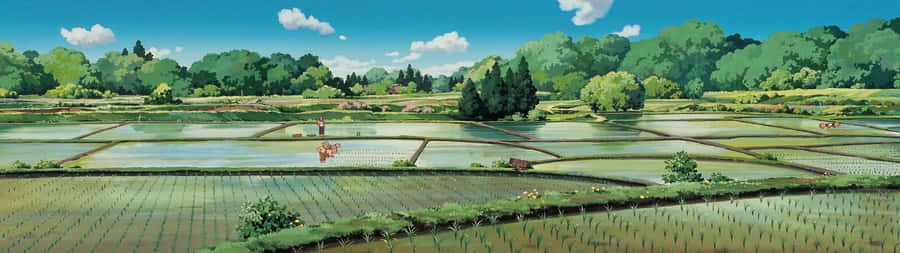 Only Yesterday Anime Film Scenery Wallpaper