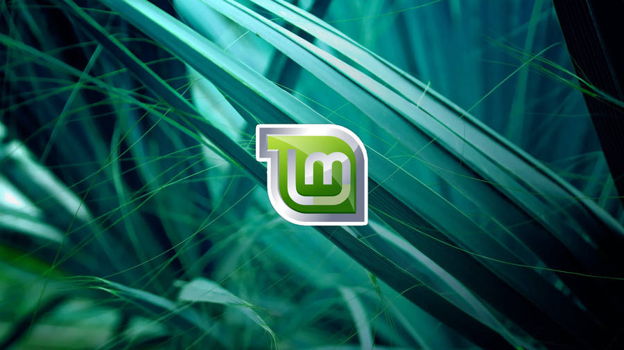 Operating System Linux Mint Logo On Plant Leaves Wallpaper