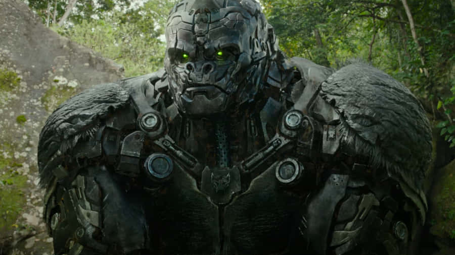 Optimus Primalin Jungle Setting Wallpaper