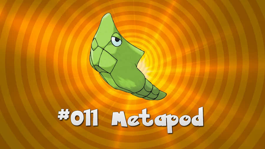 Orange Aesthetic Metapod Desktop Wallpaper