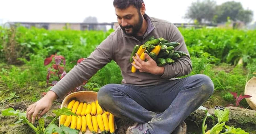 Organic Farming 1040 X 544 Wallpaper Wallpaper