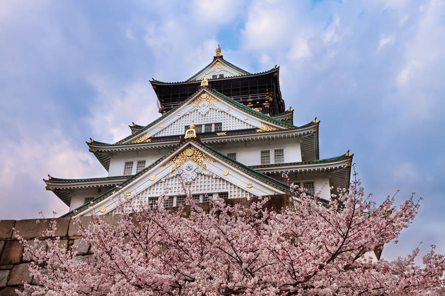 Osaka Castle Golden Ornament Leaf Wallpaper