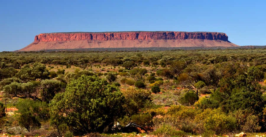 Outback_ Mesa_ Landscape Wallpaper