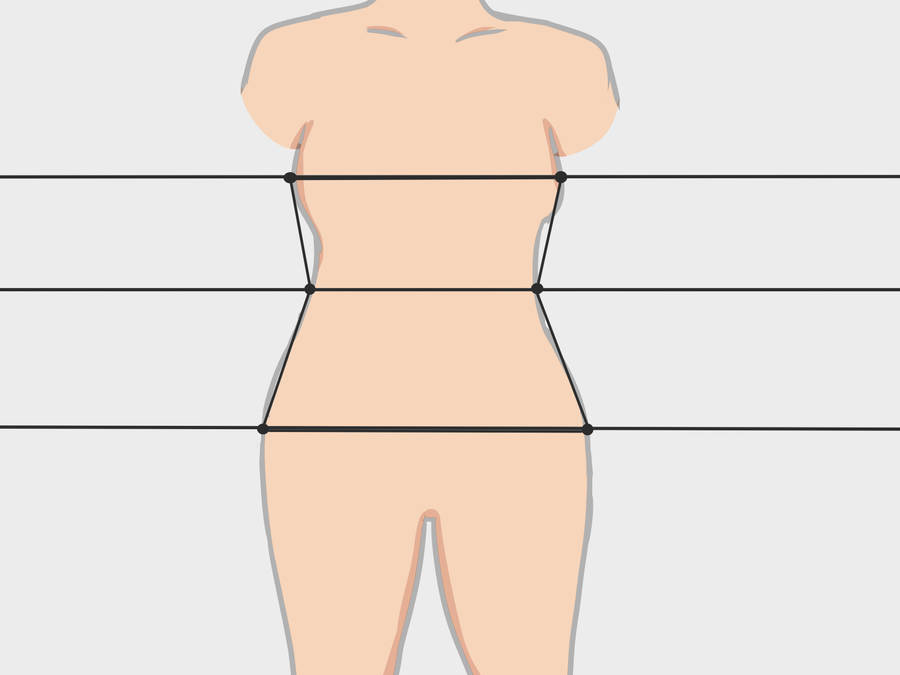 Outline Waistline Sketch Wallpaper