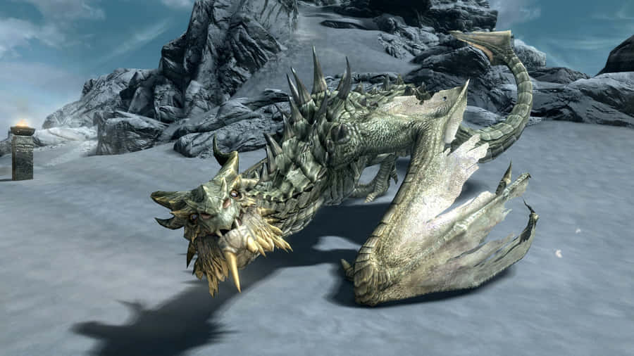 Paarthurnax, The Ancient Dragon Of Skyrim, Perched Atop The Throat Of The World. Wallpaper