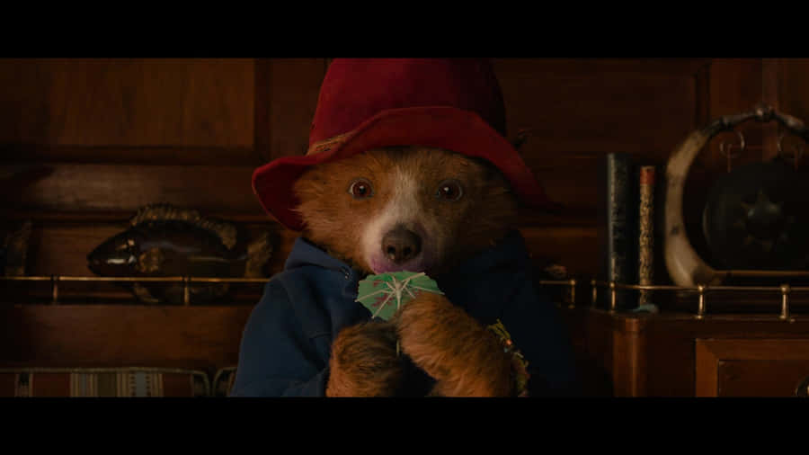 Paddington Bear Eating Marmalade Wallpaper