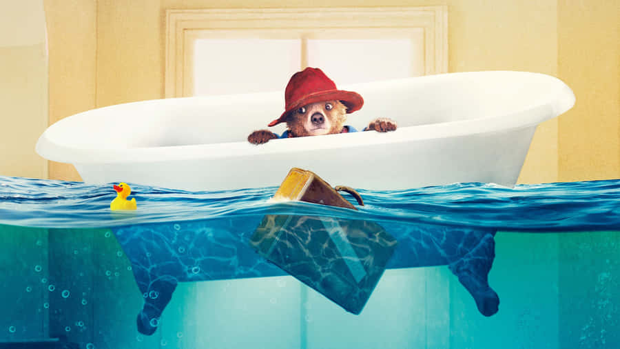 Paddington Bear In Bathtub Wallpaper
