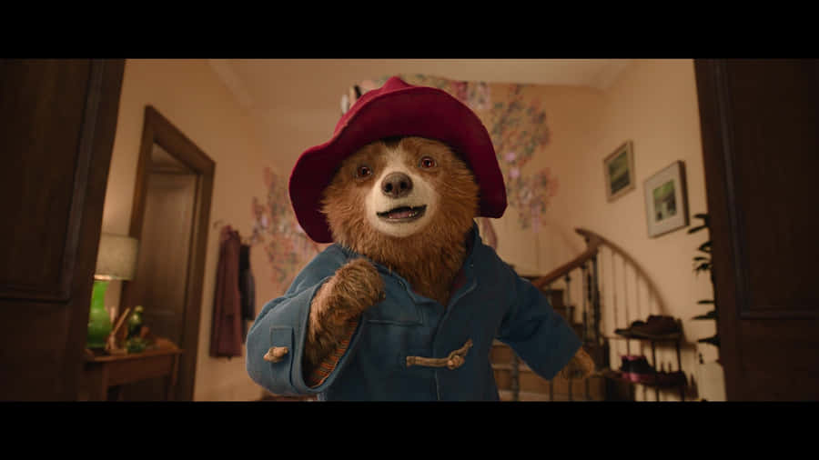Paddington Bear In Blue Coat Wallpaper