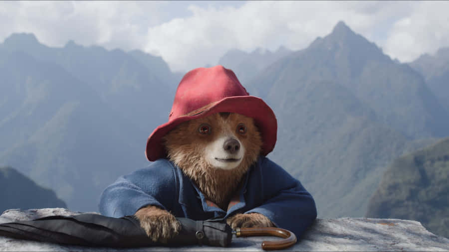 Paddington Bear In Mountains Wallpaper