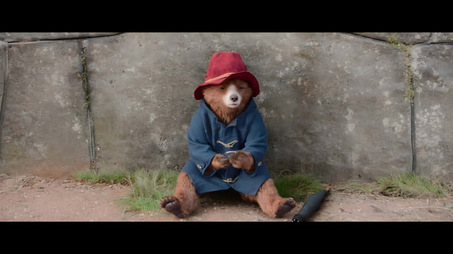 Paddington Bear Sitting Alone Wallpaper