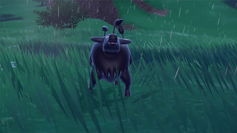 Paldean Tauros In The Rain Wallpaper
