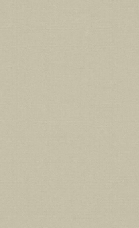 Pale Aesthetic Beige Wallpaper