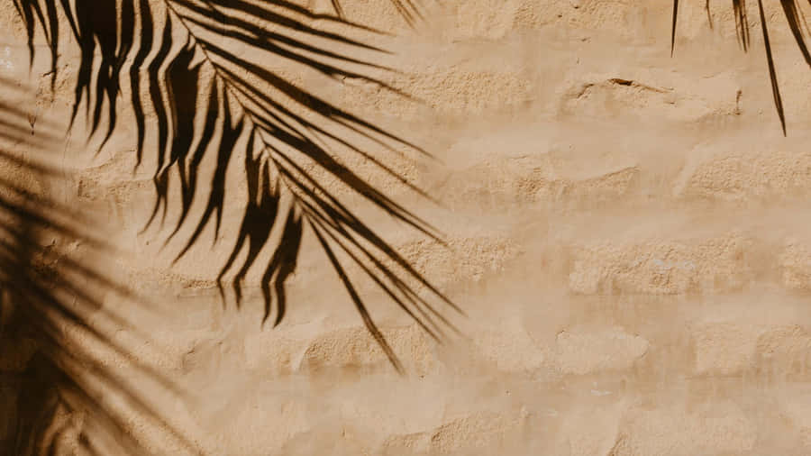 Palm Leaf Shadow Art Wallpaper