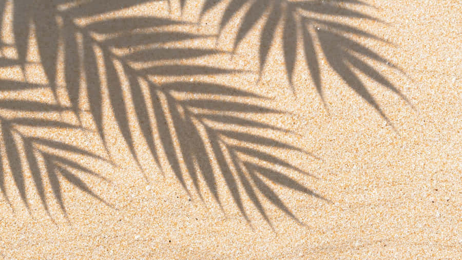 Palm Leaf Shadow On Sand Wallpaper