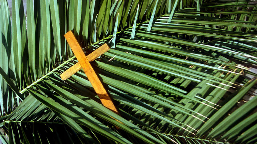 Palm Leaf With Wooden Cross Wallpaper