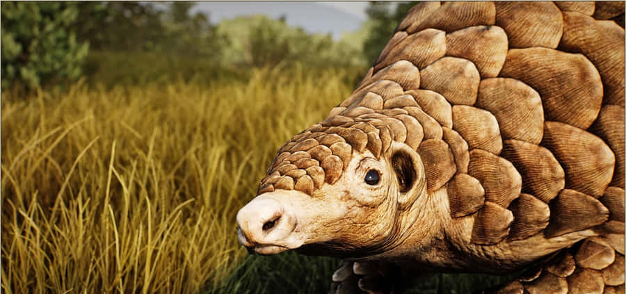 Pangolinin Grassland Habitat Wallpaper