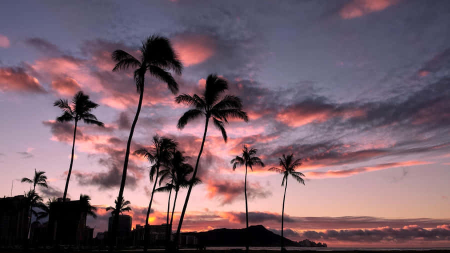 Paradise Awaits In Aesthetic Hawaii Wallpaper