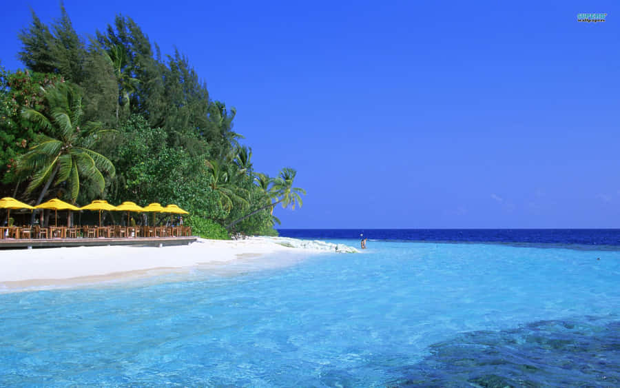 Paradise Awaits: Stunning Maldives Beach Wallpaper
