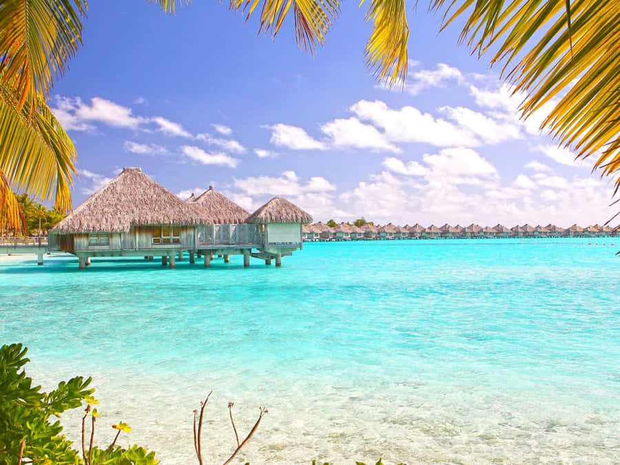 Paradise In Bora Bora Wallpaper