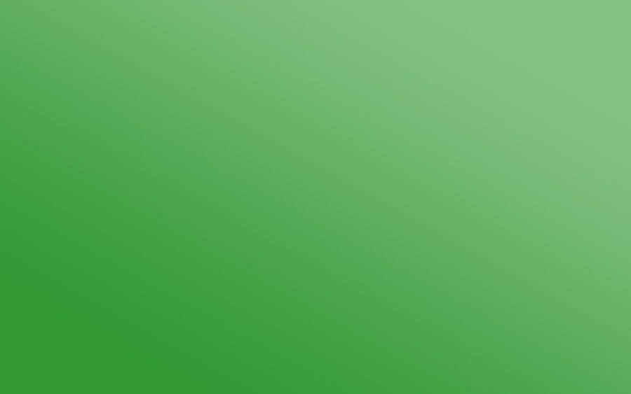 Parakeet Green Plain Color Wallpaper