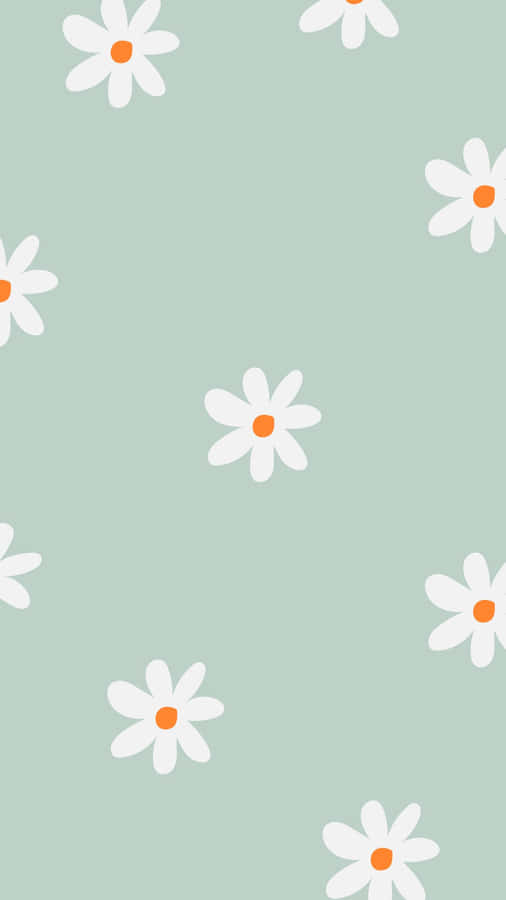Pastel Daisy Pattern_ Aesthetic Background Wallpaper
