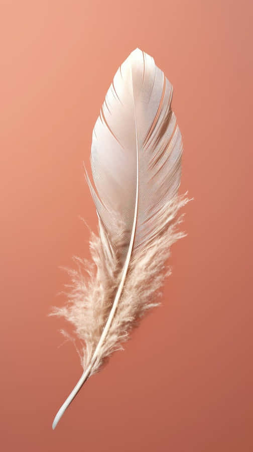 Pastel Feather Aesthetic.jpg Wallpaper
