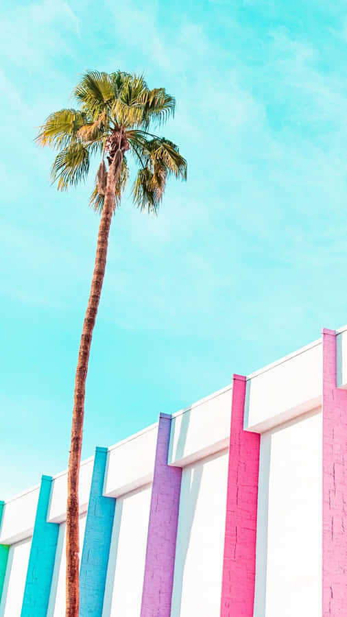 Pastel Palmand Colorful Walls Wallpaper