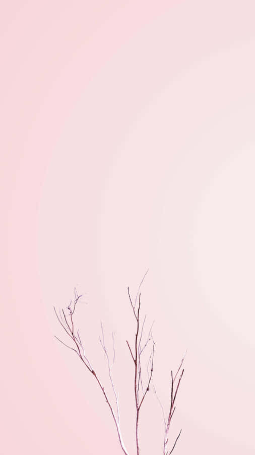 Pastel Pink Bare Branches Minimalism.jpg Wallpaper