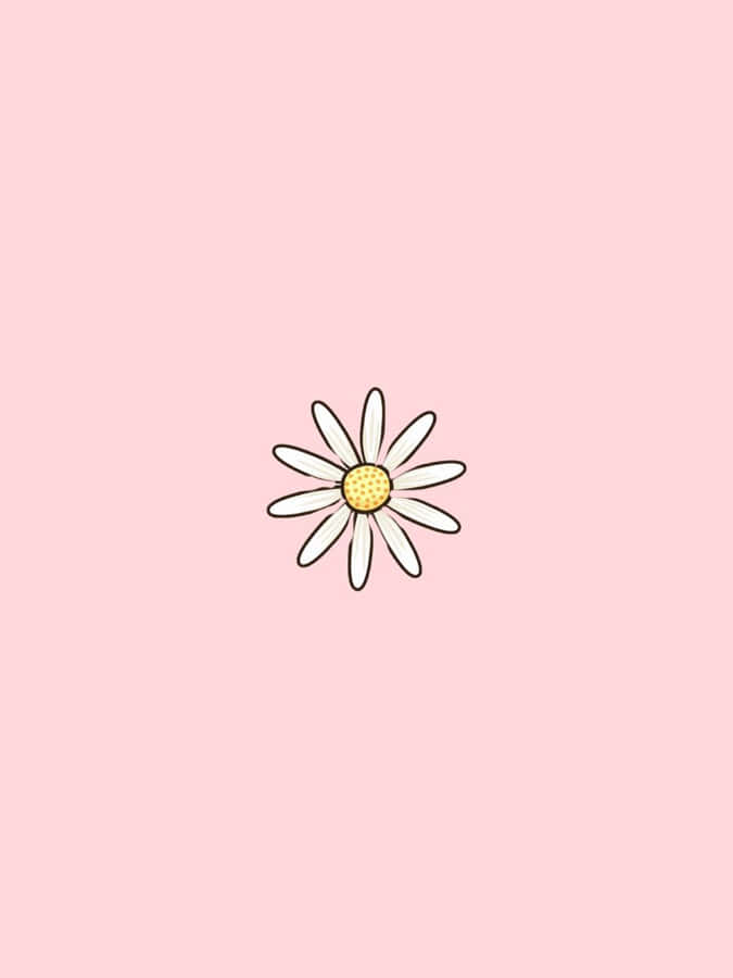 Pastel Pink Daisy Illustration Wallpaper