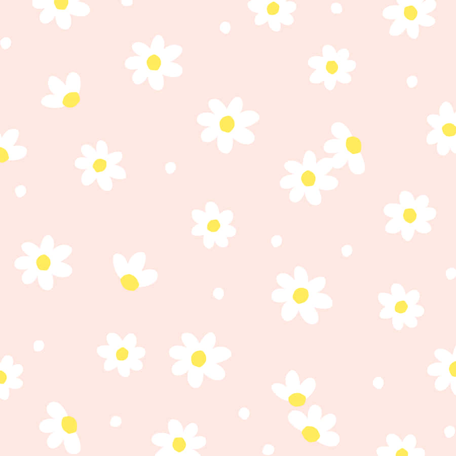 Pastel Pink Daisy Pattern Wallpaper