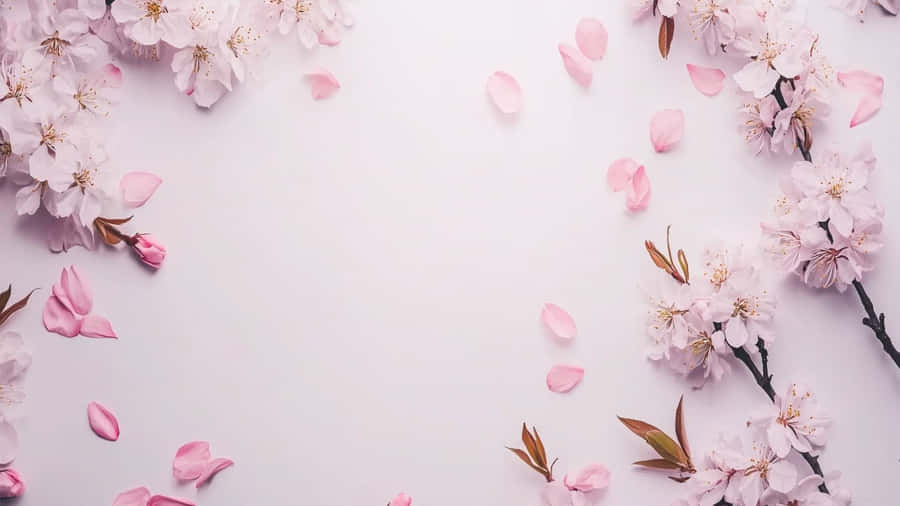 Pastel Spring Cherry Blossoms Wallpaper