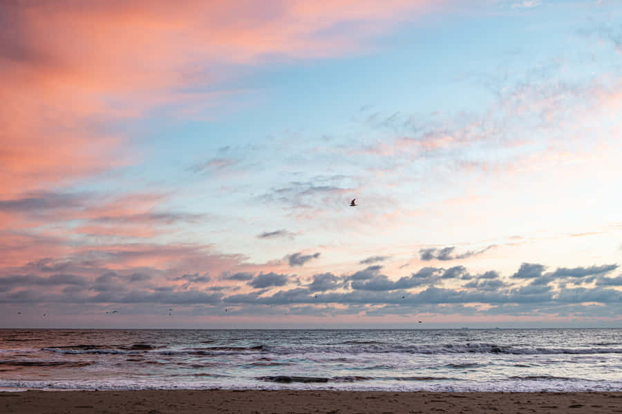 Pastel Sunset Beachscape Wallpaper