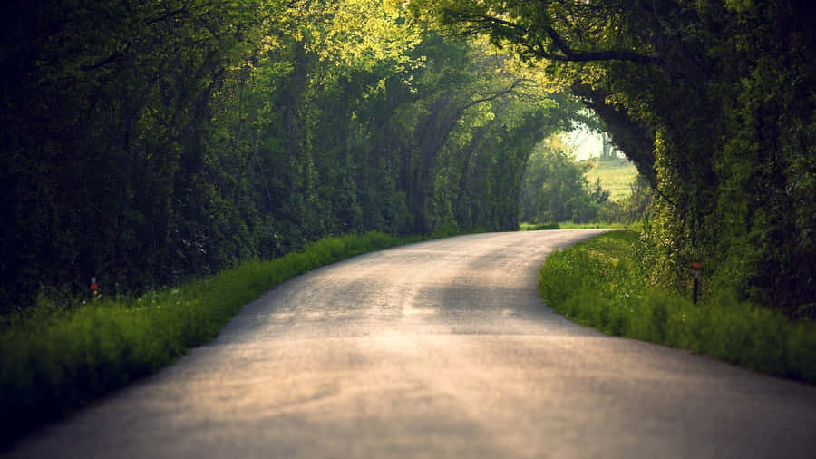 Path Under The Garden Tunnel Wallpaper