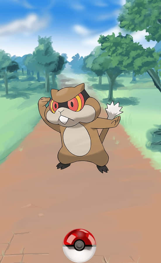 Patrat And A Poke Ball Wallpaper